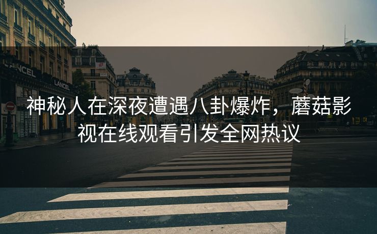 神秘人在深夜遭遇八卦爆炸，蘑菇影视在线观看引发全网热议