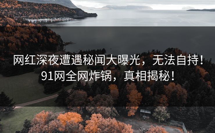 网红深夜遭遇秘闻大曝光，无法自持！91网全网炸锅，真相揭秘！